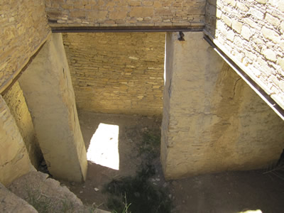 cellar